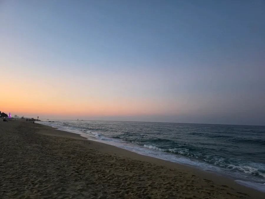 夕空に染まる砂浜と海
