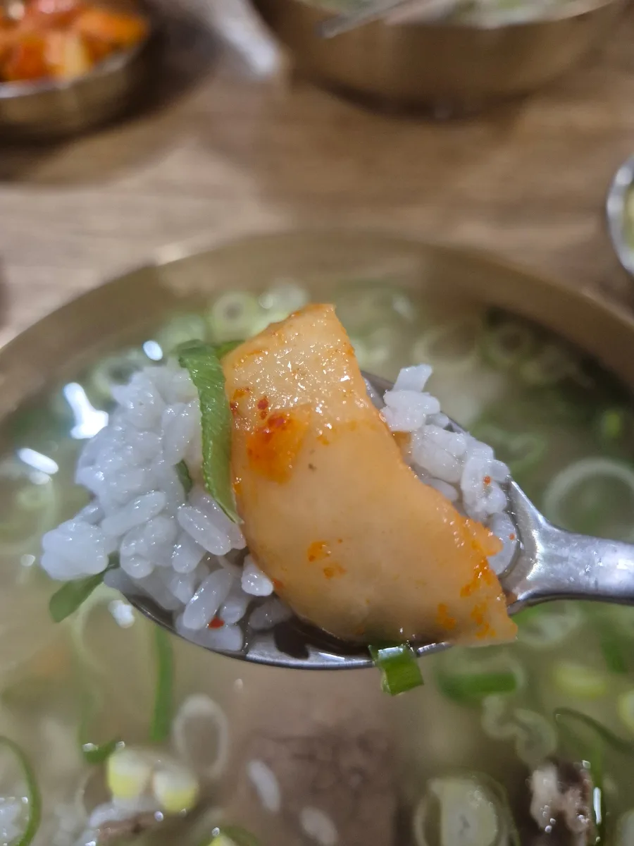 大根キムチとご飯のひと匙