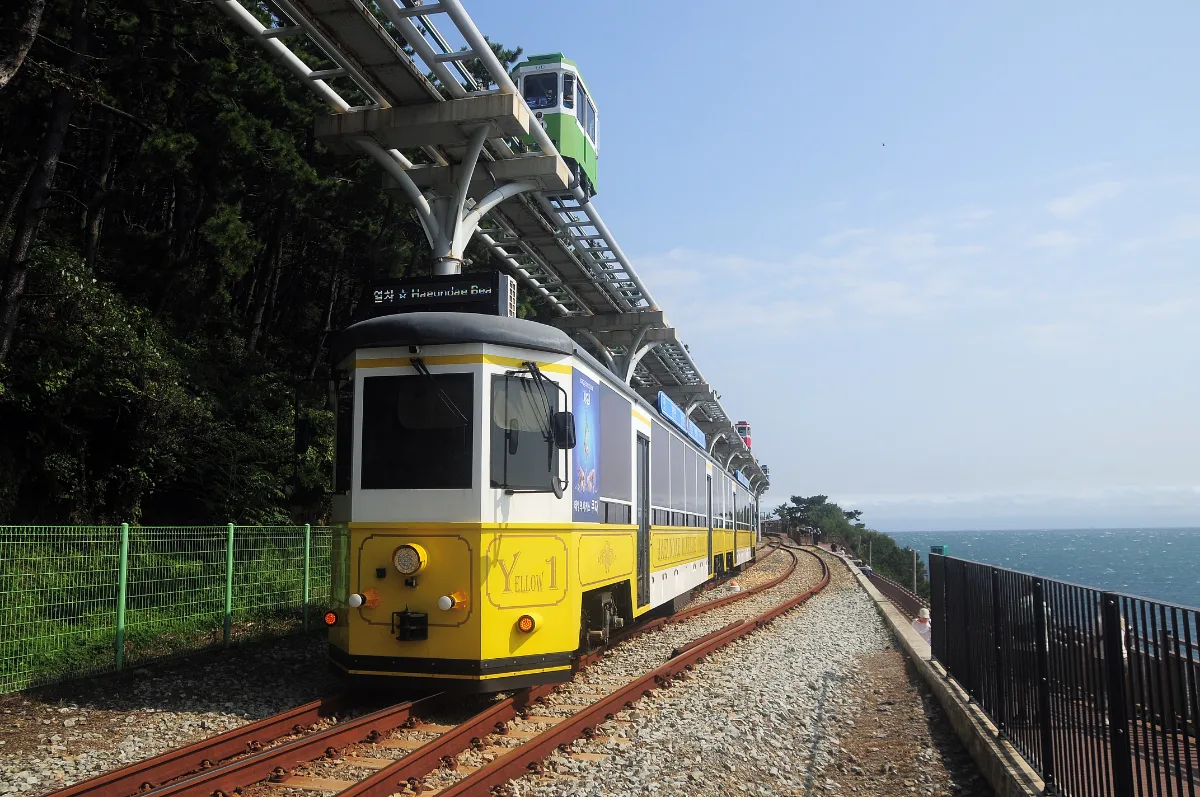海辺の線路を走る黄色い列車