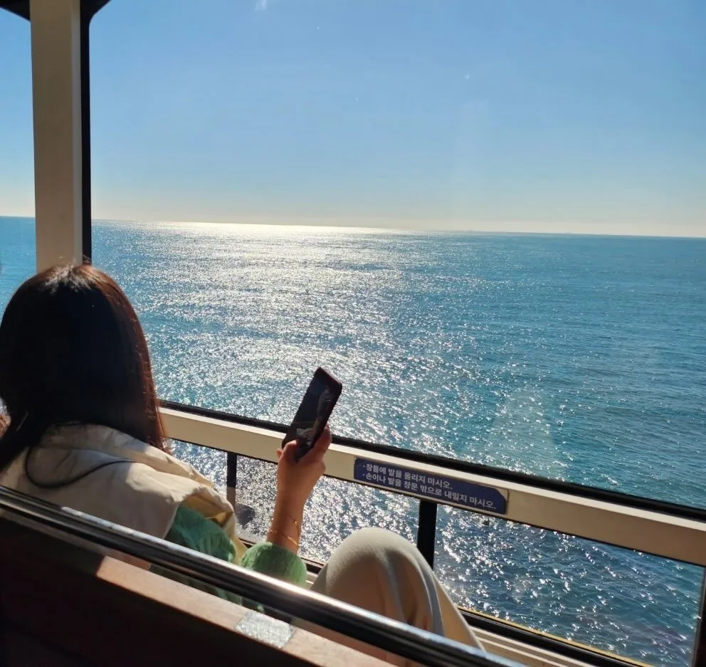 車窓いっぱいに広がる青い海