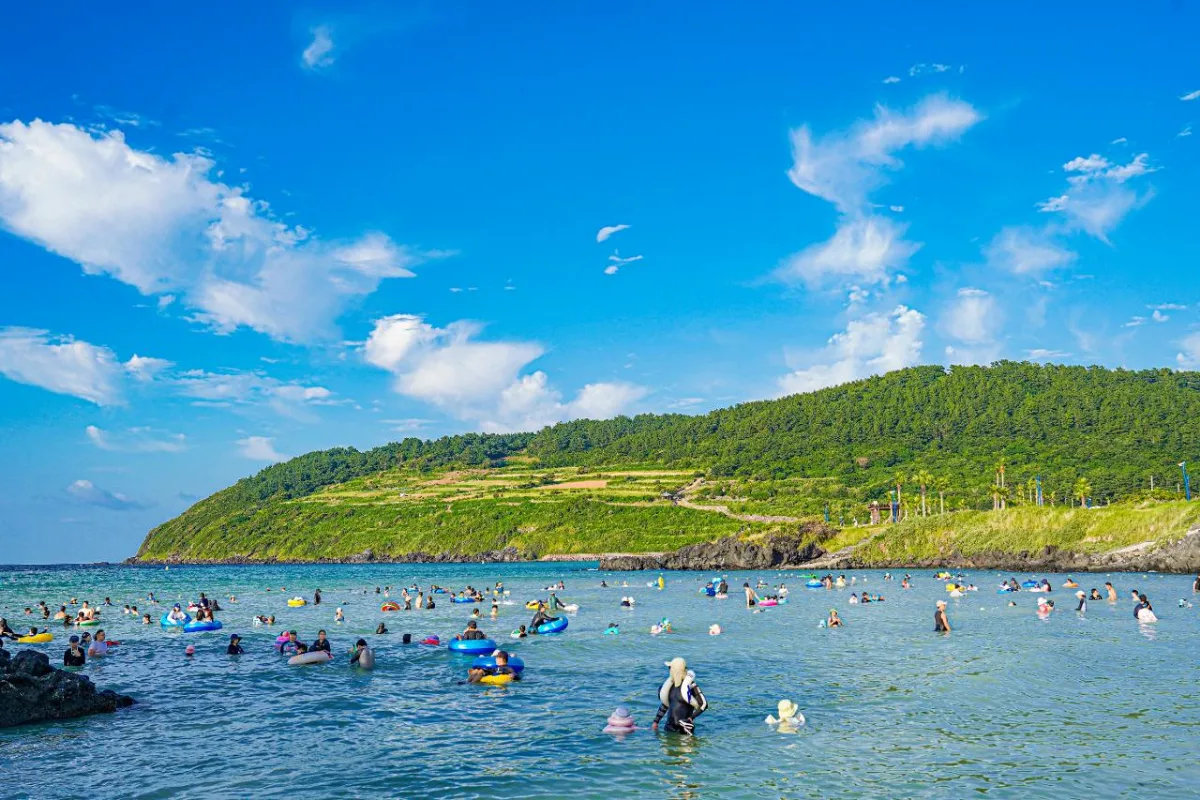 緑の丘を望む海水浴場
