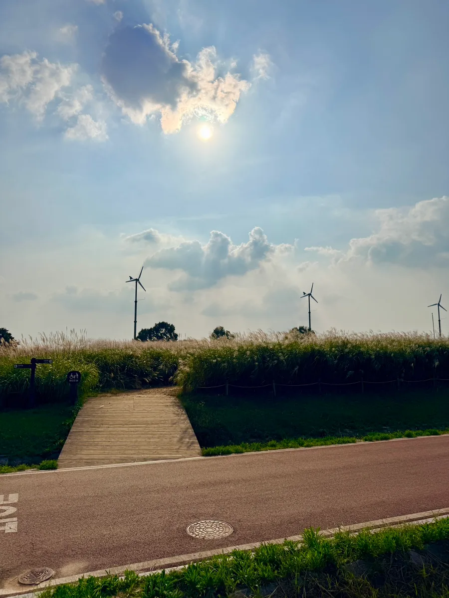 ハヌル公園 — 風車と草原へ続く道