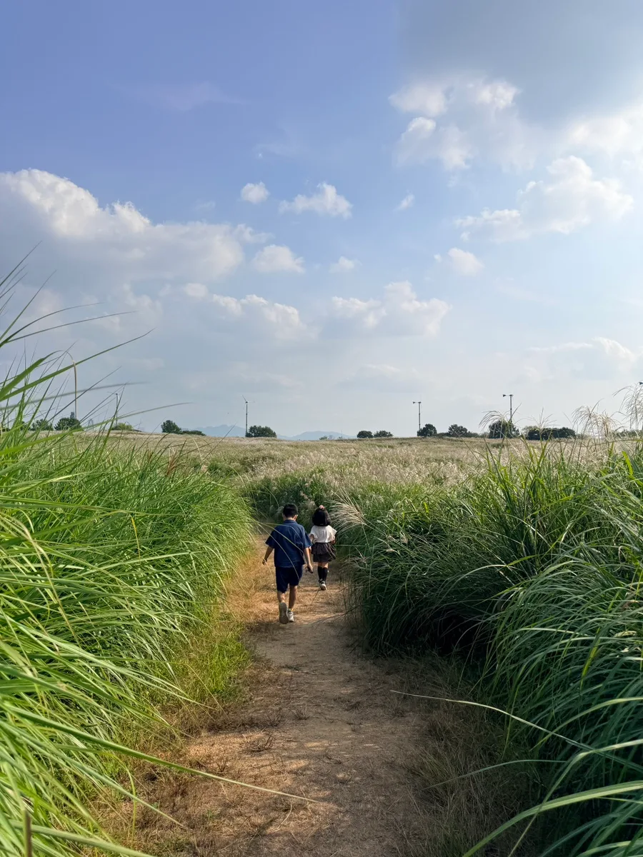 草原の中を進む散策路