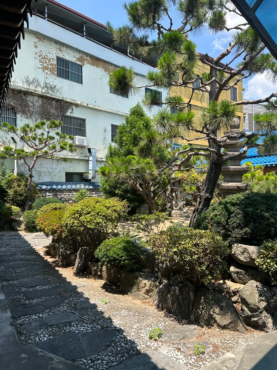 松と石灯籠のある庭