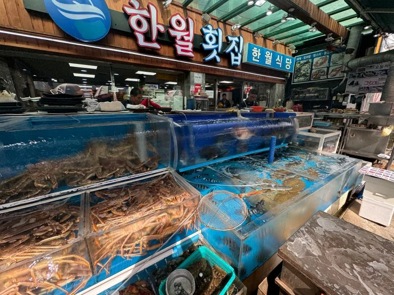 ハンウォル刺身店 — 活魚水槽が並ぶ店頭