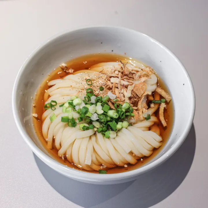 薬味を乗せた冷やしうどん