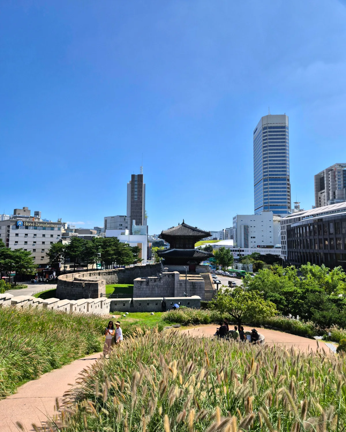 興仁之門 — 草原越しに望む興仁之門