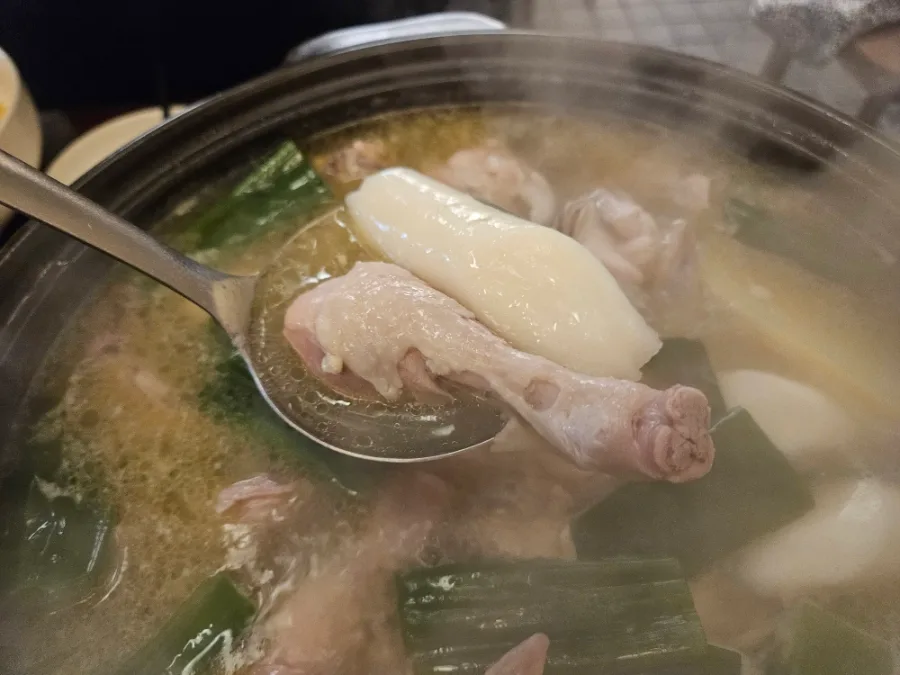 湯気立つ鶏鍋と餅