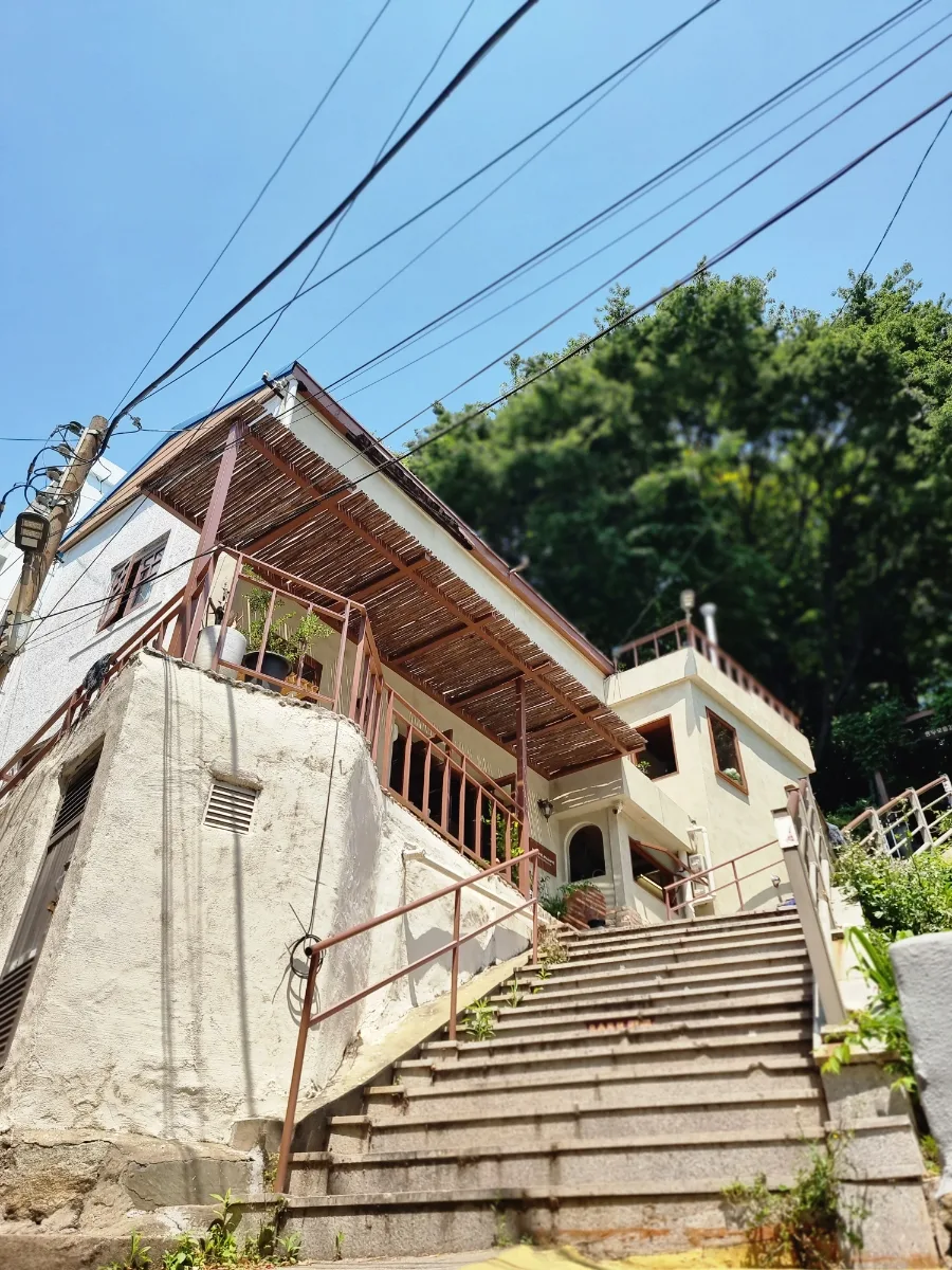 木陰へ続く石段と白い家