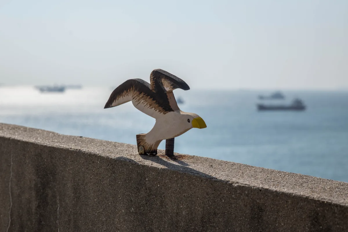 海を背にした木製のカモメ