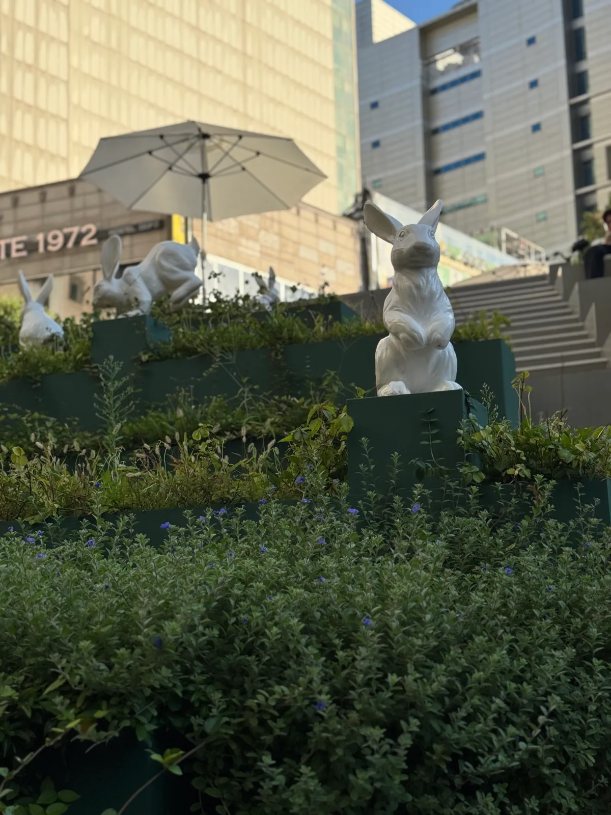 植栽に立つ白いウサギ像