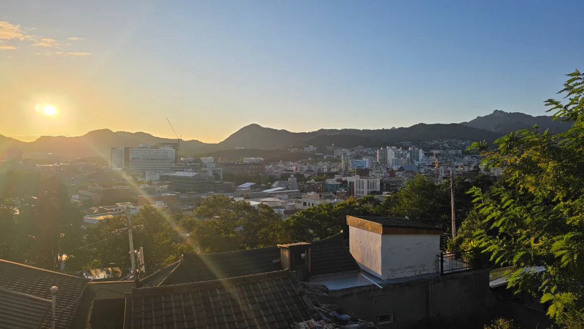木々と屋根越しの夕映えの街