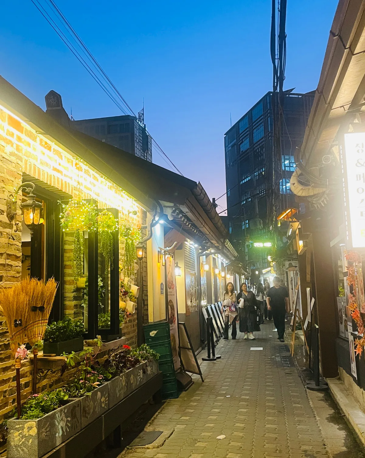 花と灯りが続く韓屋路地