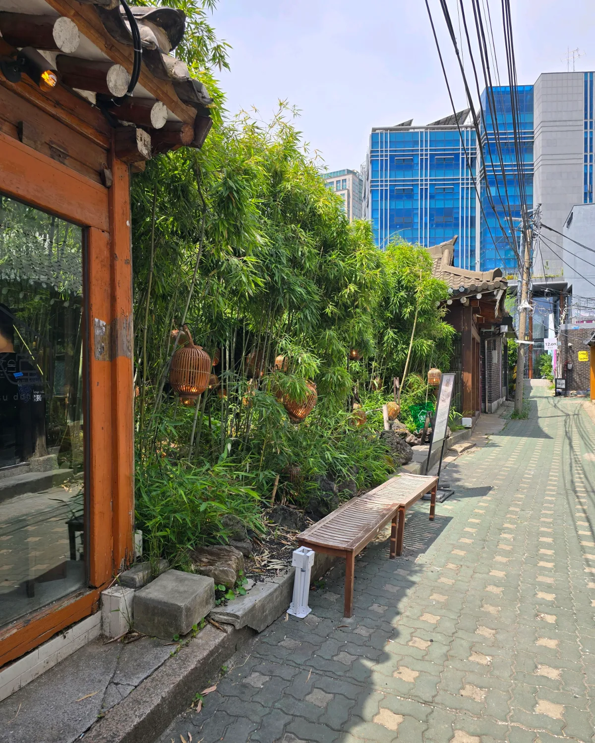 竹林沿いの韓屋路地