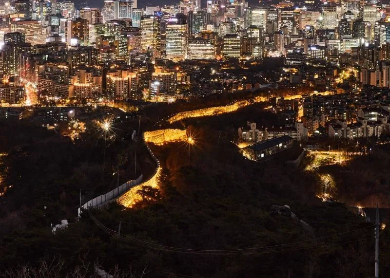 ライトアップされた城壁と都心の夜景