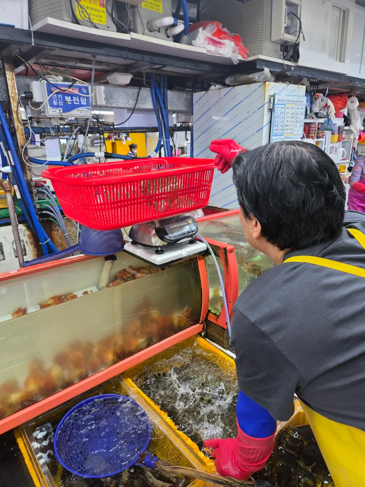 チャガルチ市場 — 水槽で魚をすくう市場の店員