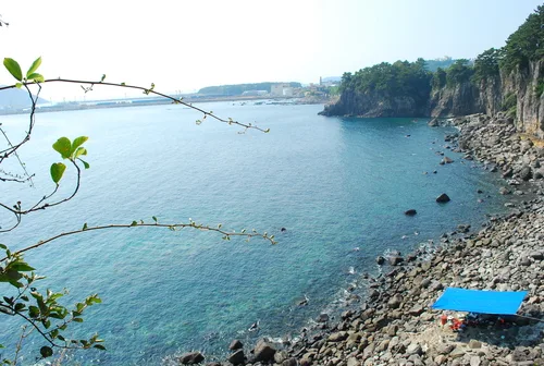 断崖沿いに広がる青い海