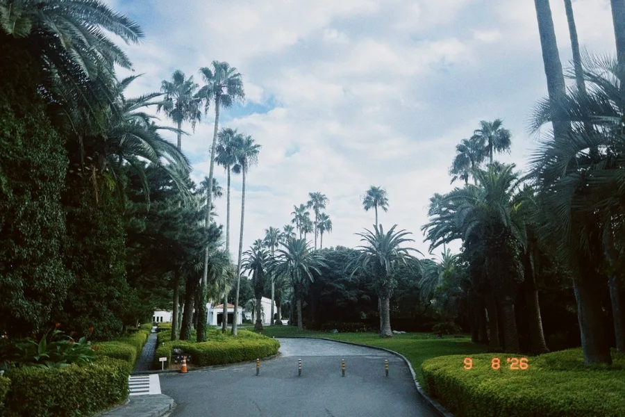 ヤシ並木に囲まれた園路