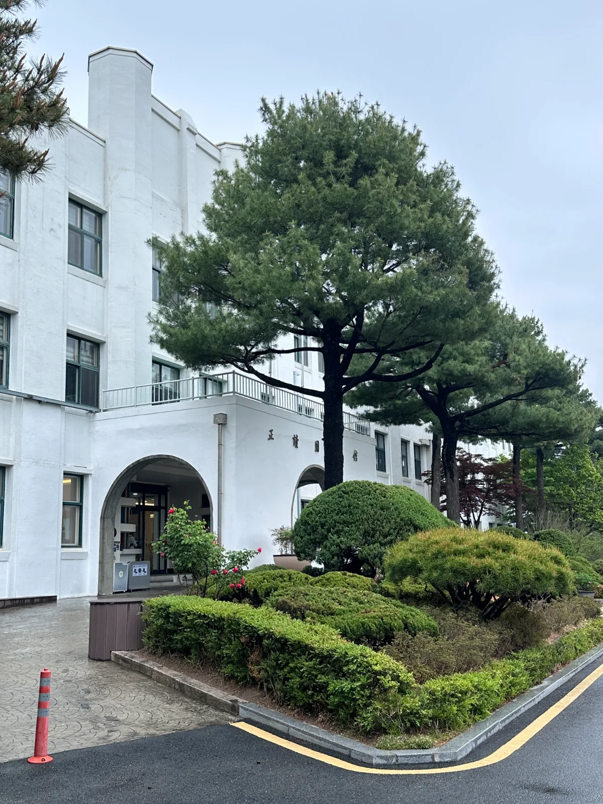 松と植栽に沿う白い建物