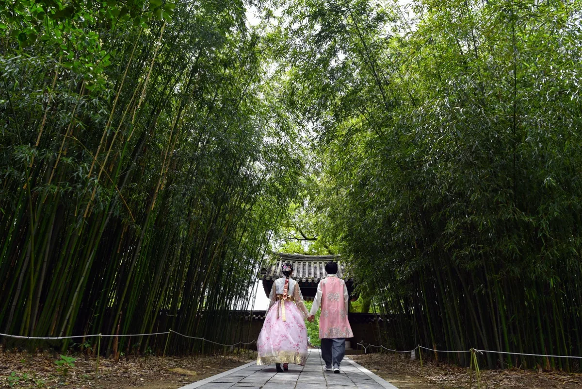 全州韓屋村 — 竹林を歩く韓服姿の二人