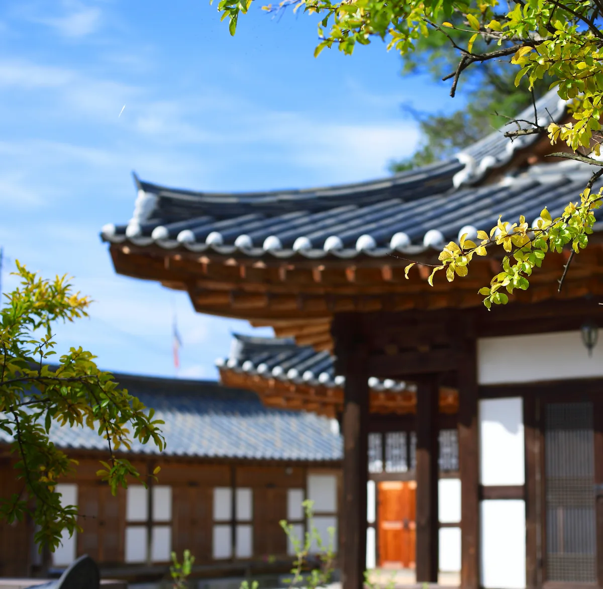 青空と木の葉越しの瓦屋根