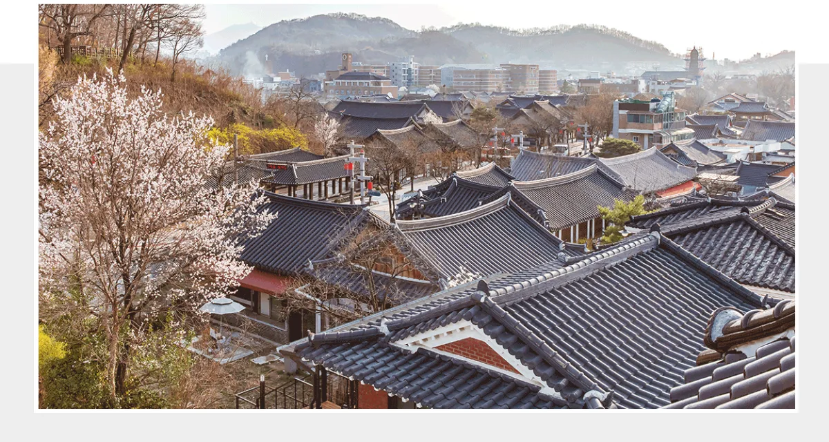全州韓屋村 — 梅咲く丘から望む瓦屋根