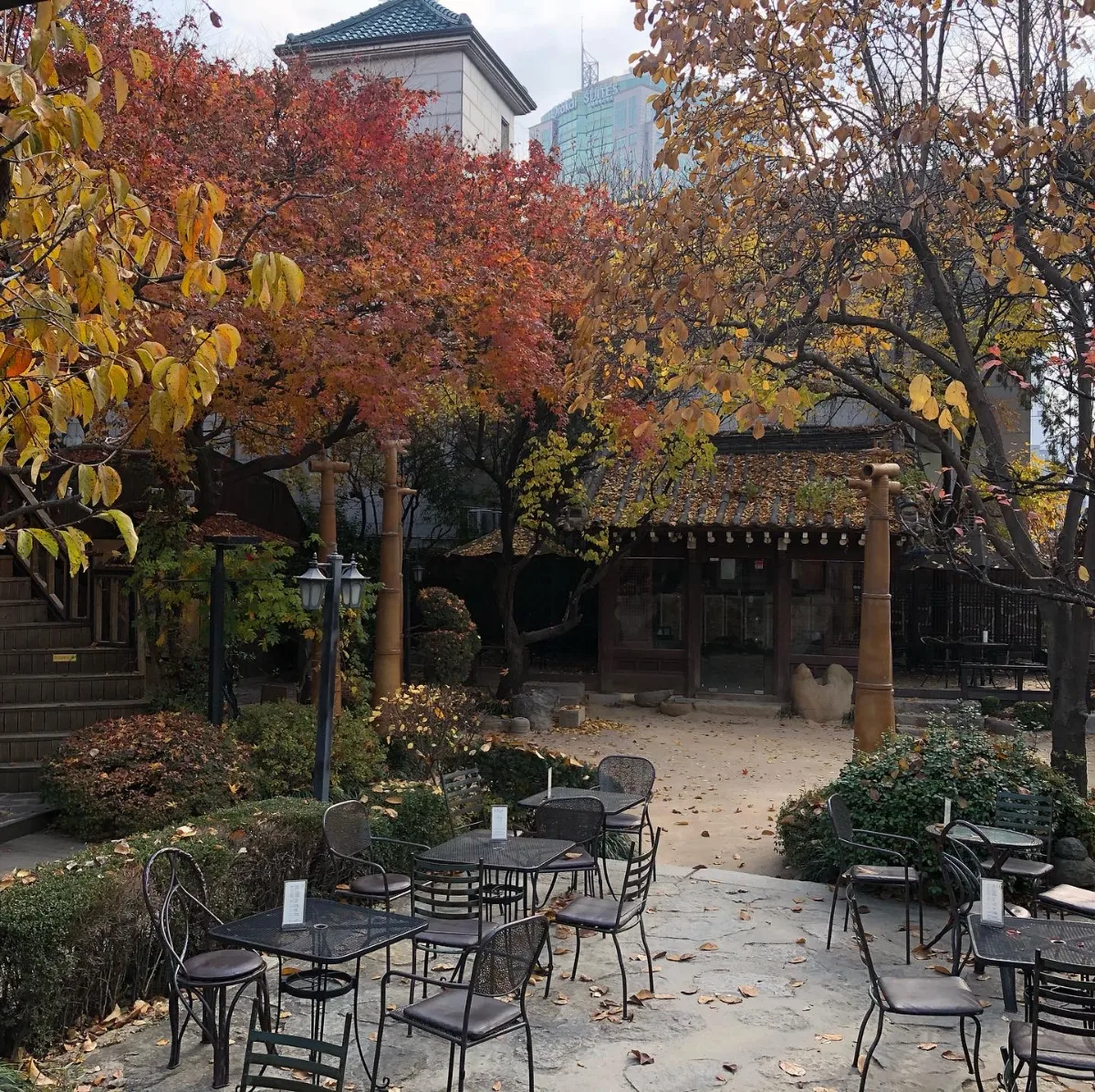 紅葉に囲まれた庭のテーブル席