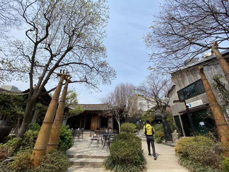 伝統茶院 — 木々に囲まれた韓屋と庭席
