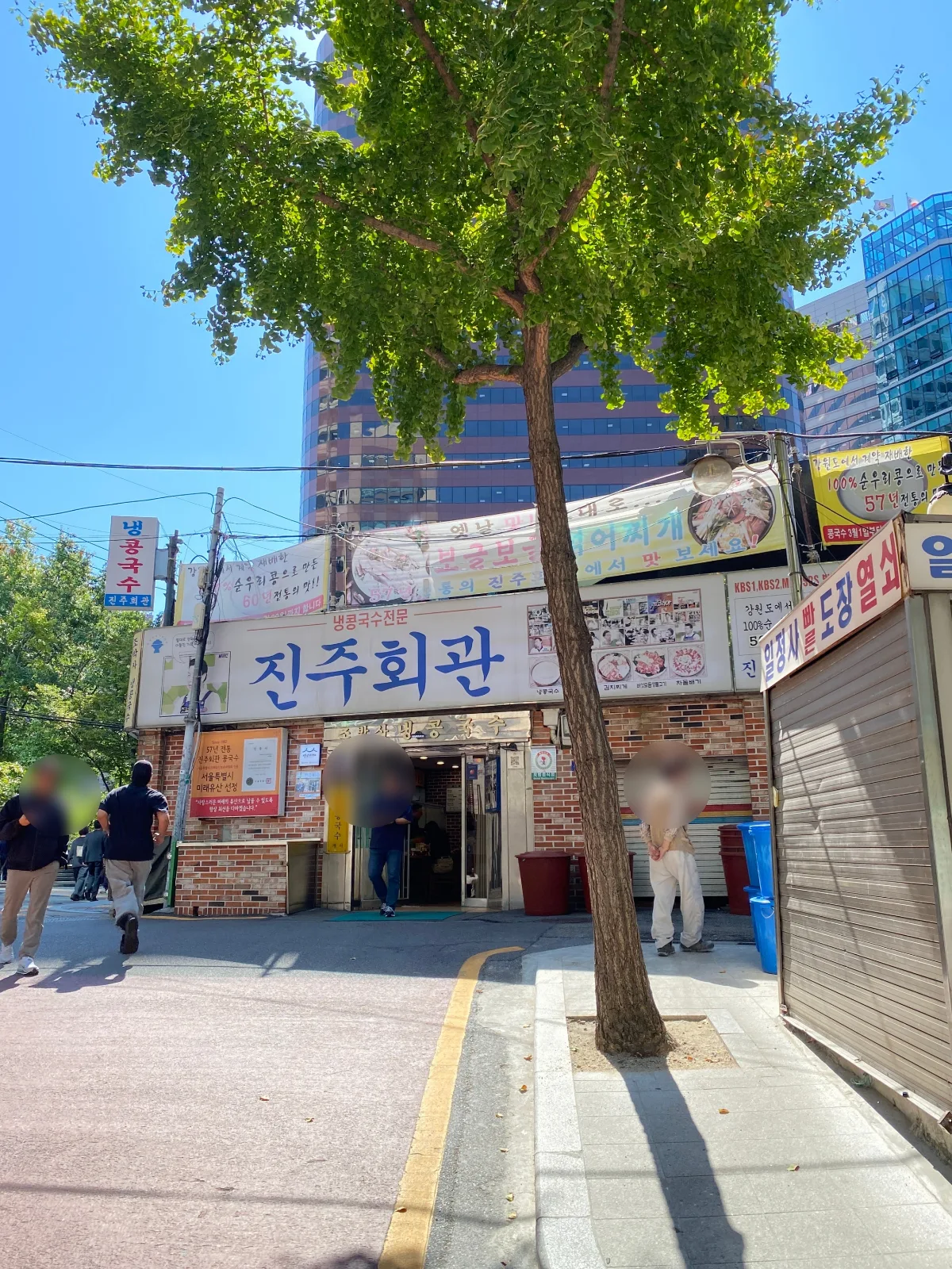 晋州会館 — 大きな木越しの店舗正面
