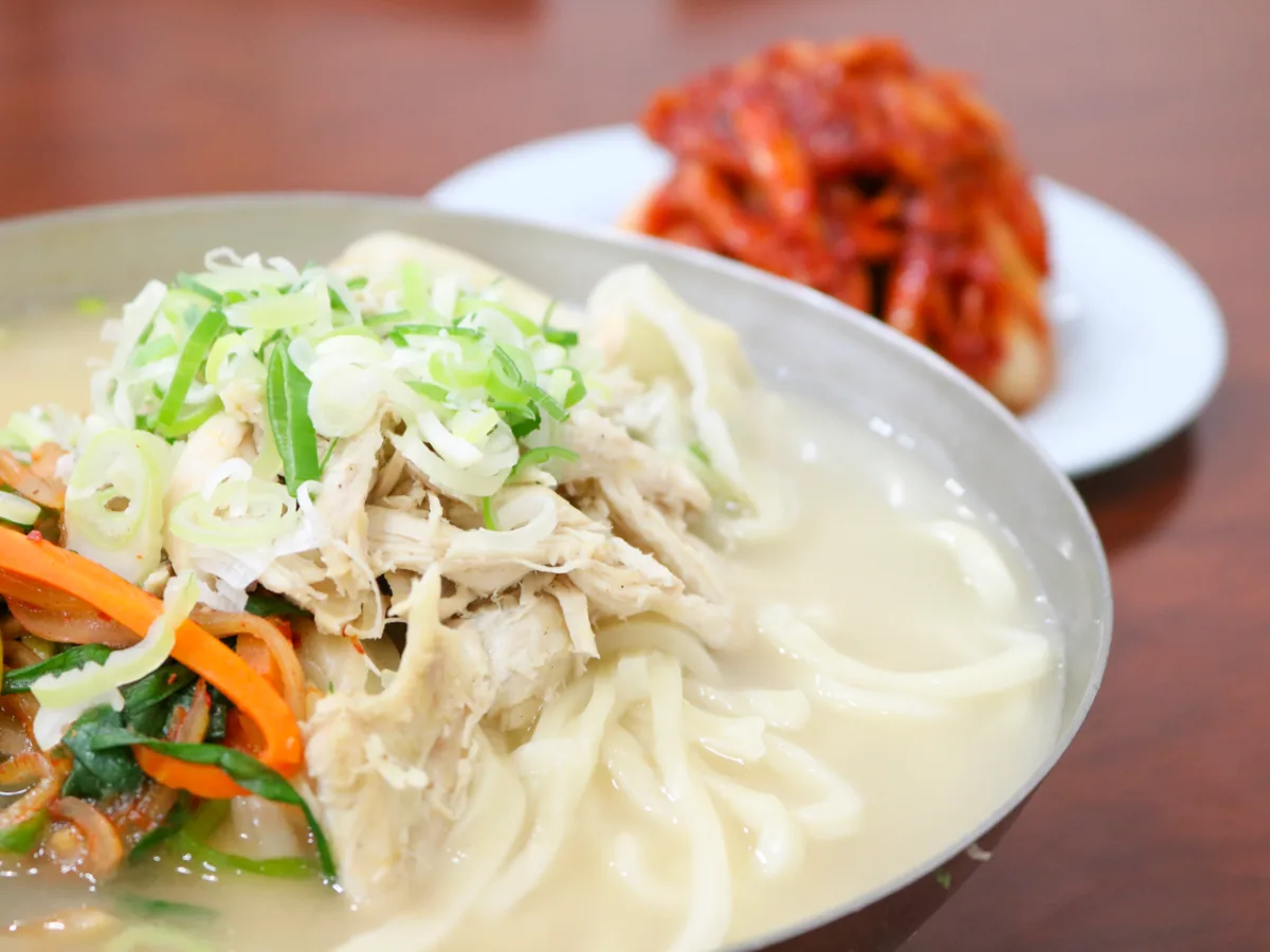 晋州チッ — 鶏肉と太麺の白いスープ