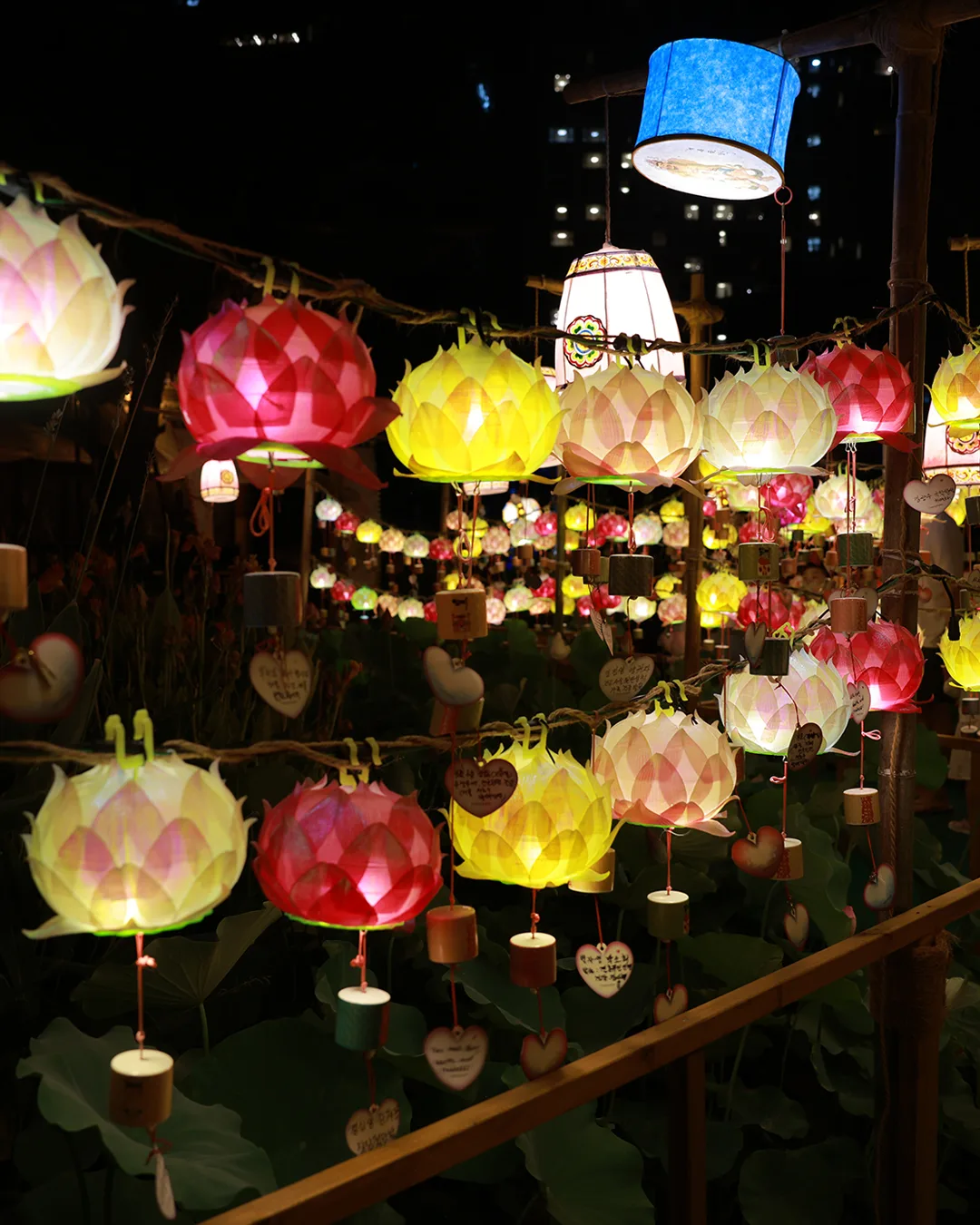 曹渓寺 — 夜に灯る色鮮やかな蓮灯籠