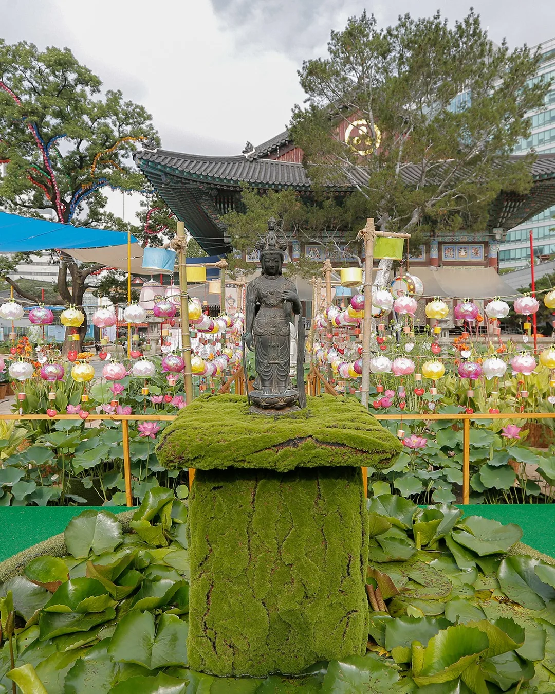 曹渓寺 — 観音像を囲む蓮と灯籠