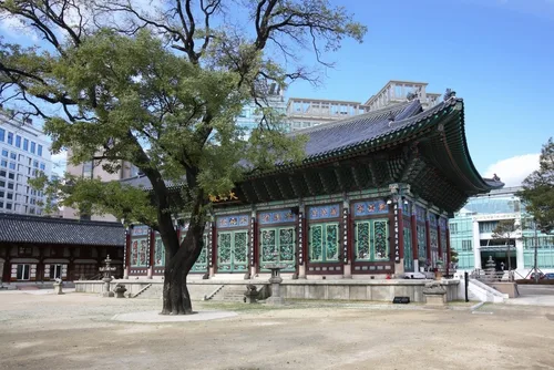 曹渓寺 — 青空と大樹に映える大雄殿