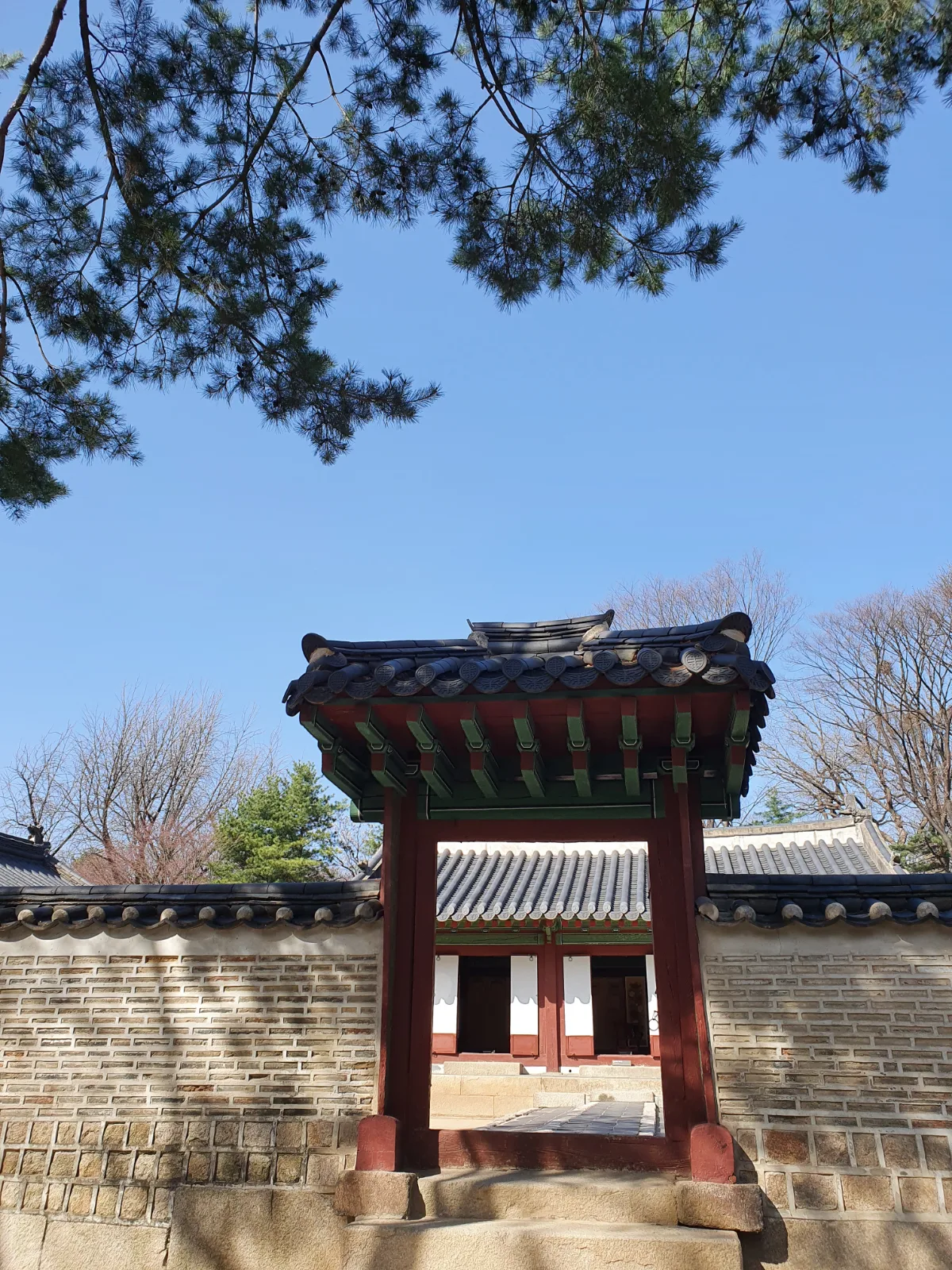 宗廟 — 松枝越しに見る赤い門