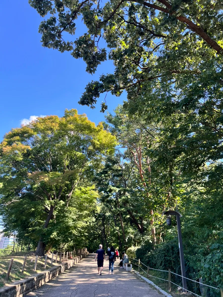 青空と緑に包まれた石畳道