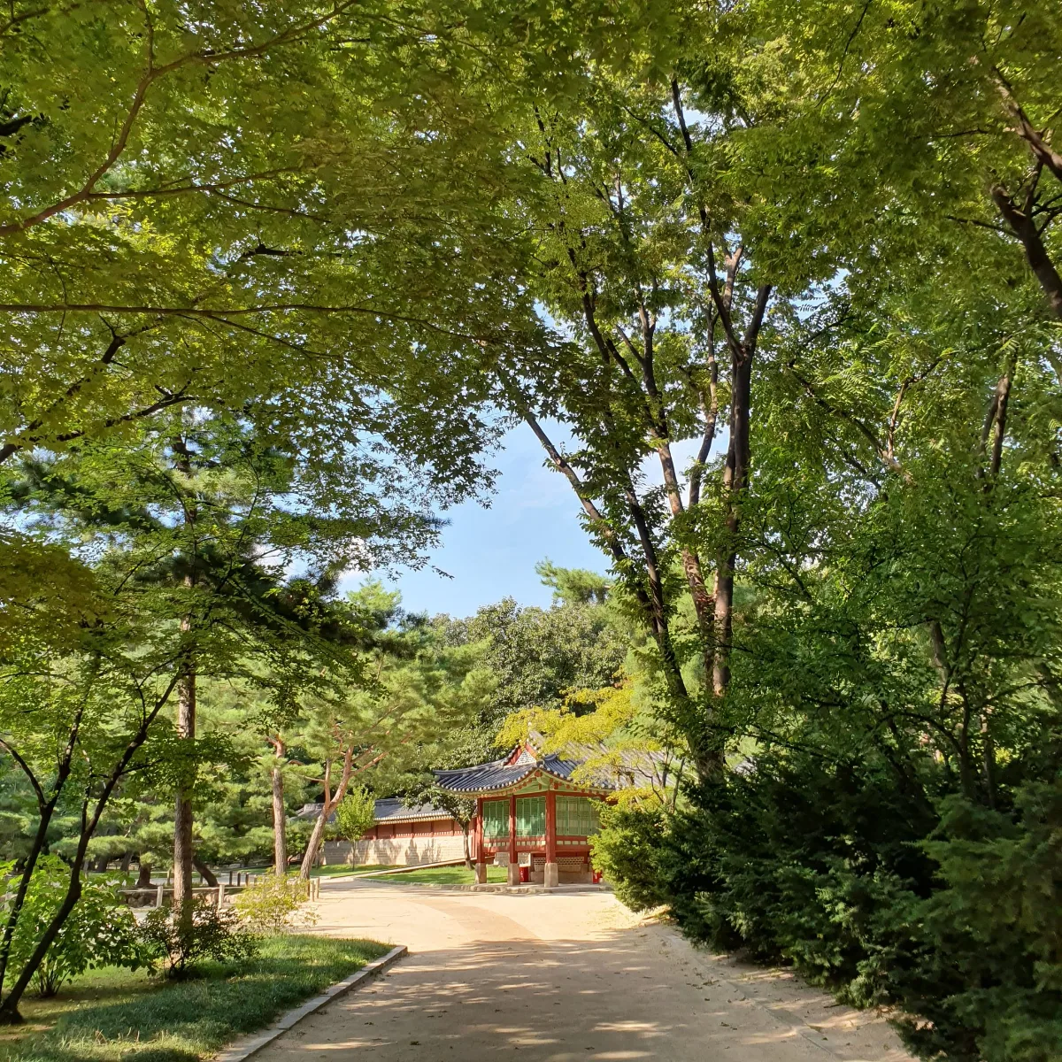 宗廟 — 木立に包まれた丹青の建物