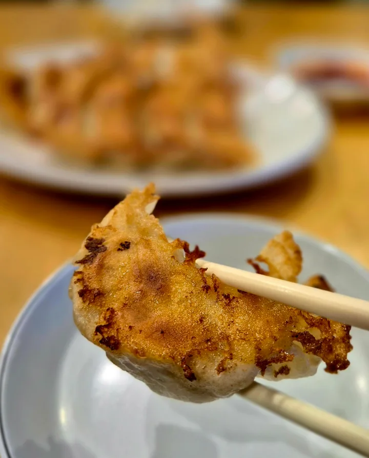 箸で持ち上げた焼き餃子
