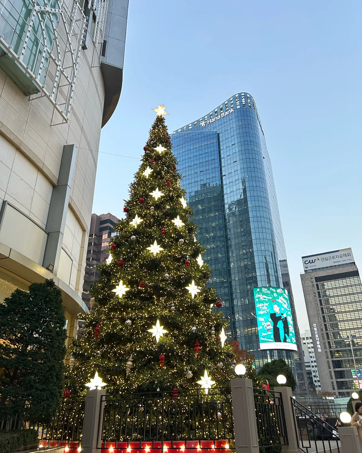 星明かりの大きなクリスマスツリー