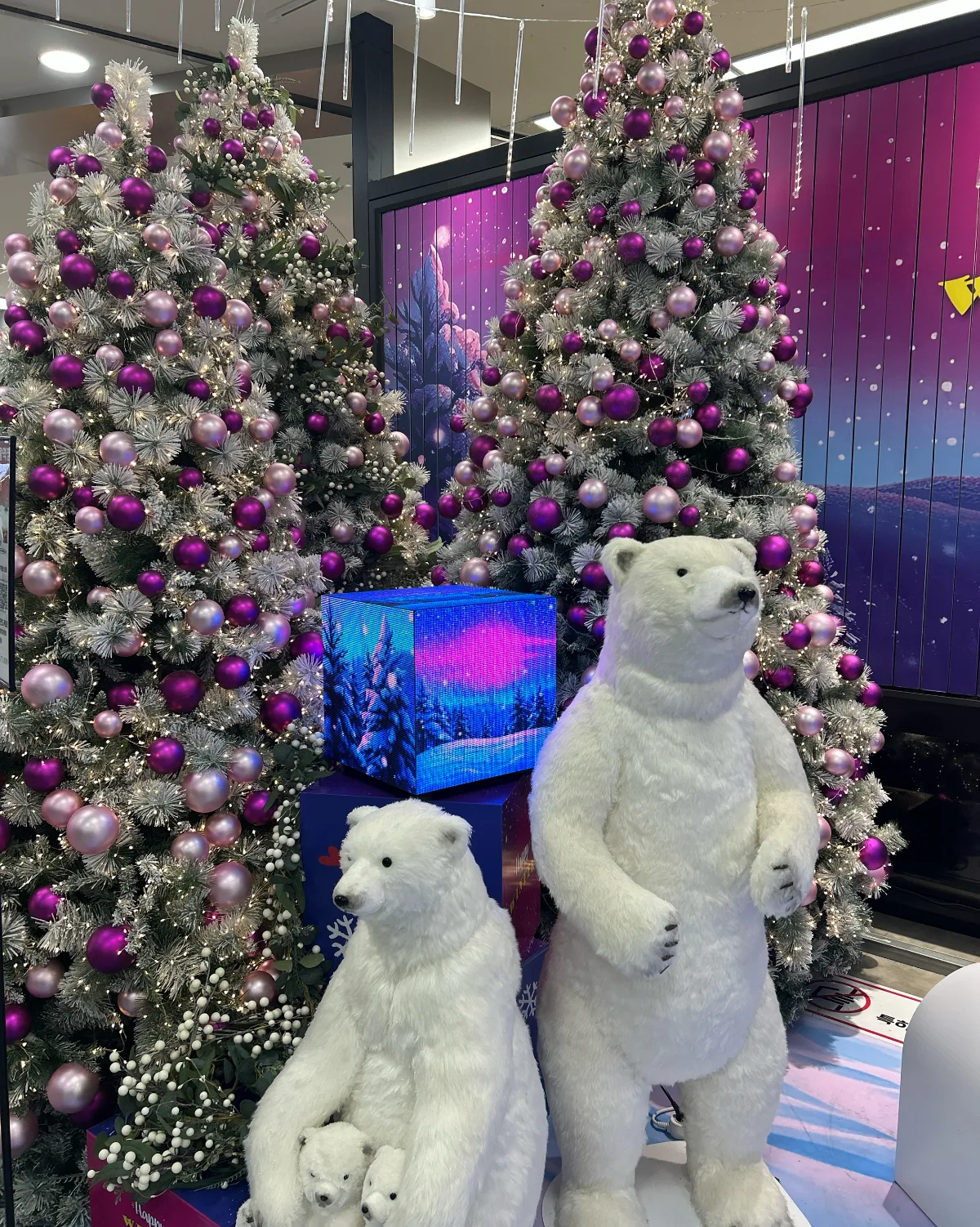 ロッテマート ZETTAPLEX ソウル駅店 — 紫の飾りと白くまの冬展示