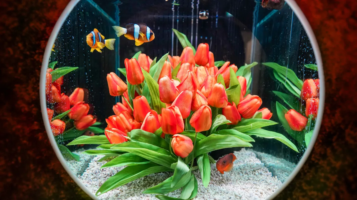 チューリップと熱帯魚
