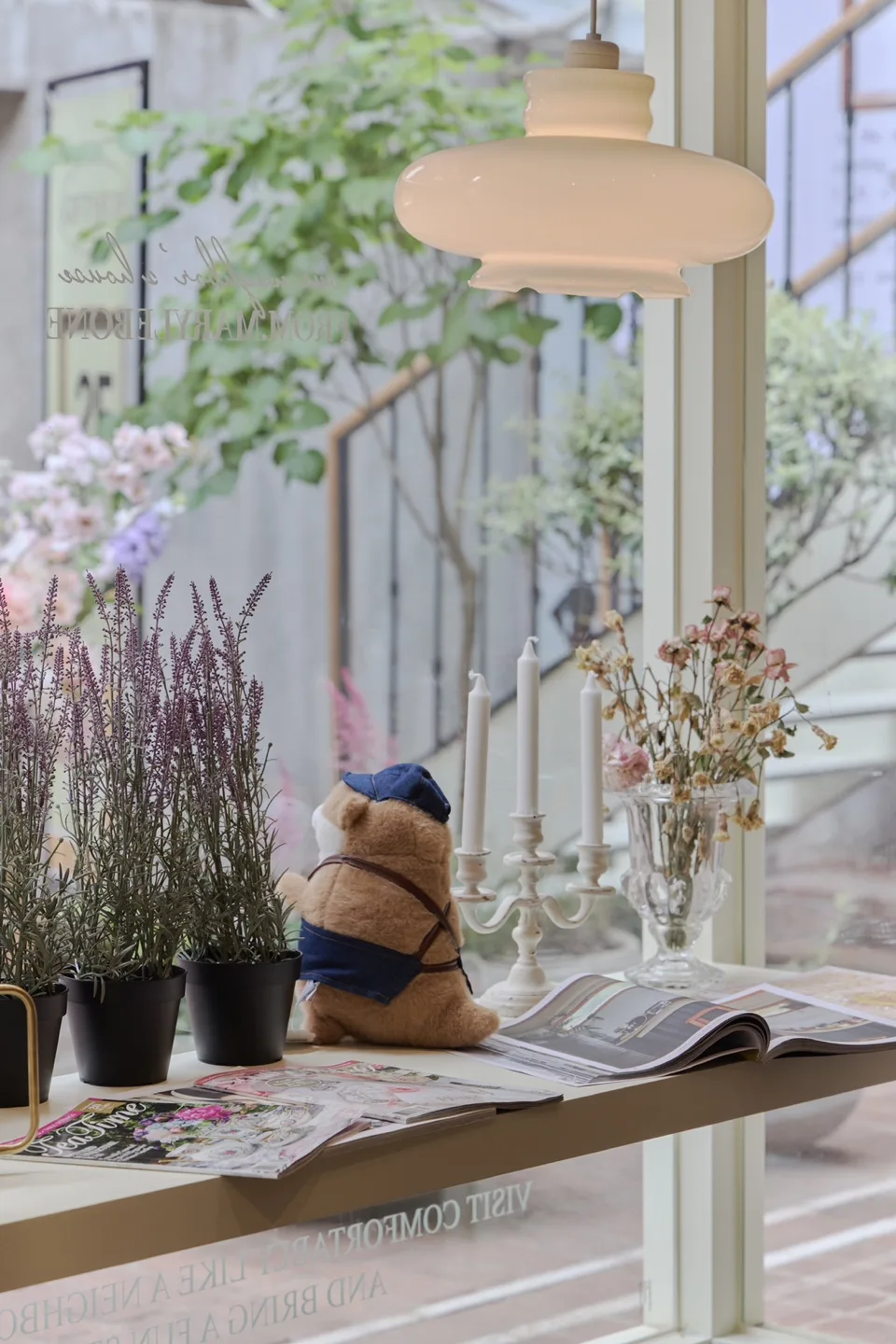 Marylebone — 窓辺の熊と花のディスプレイ