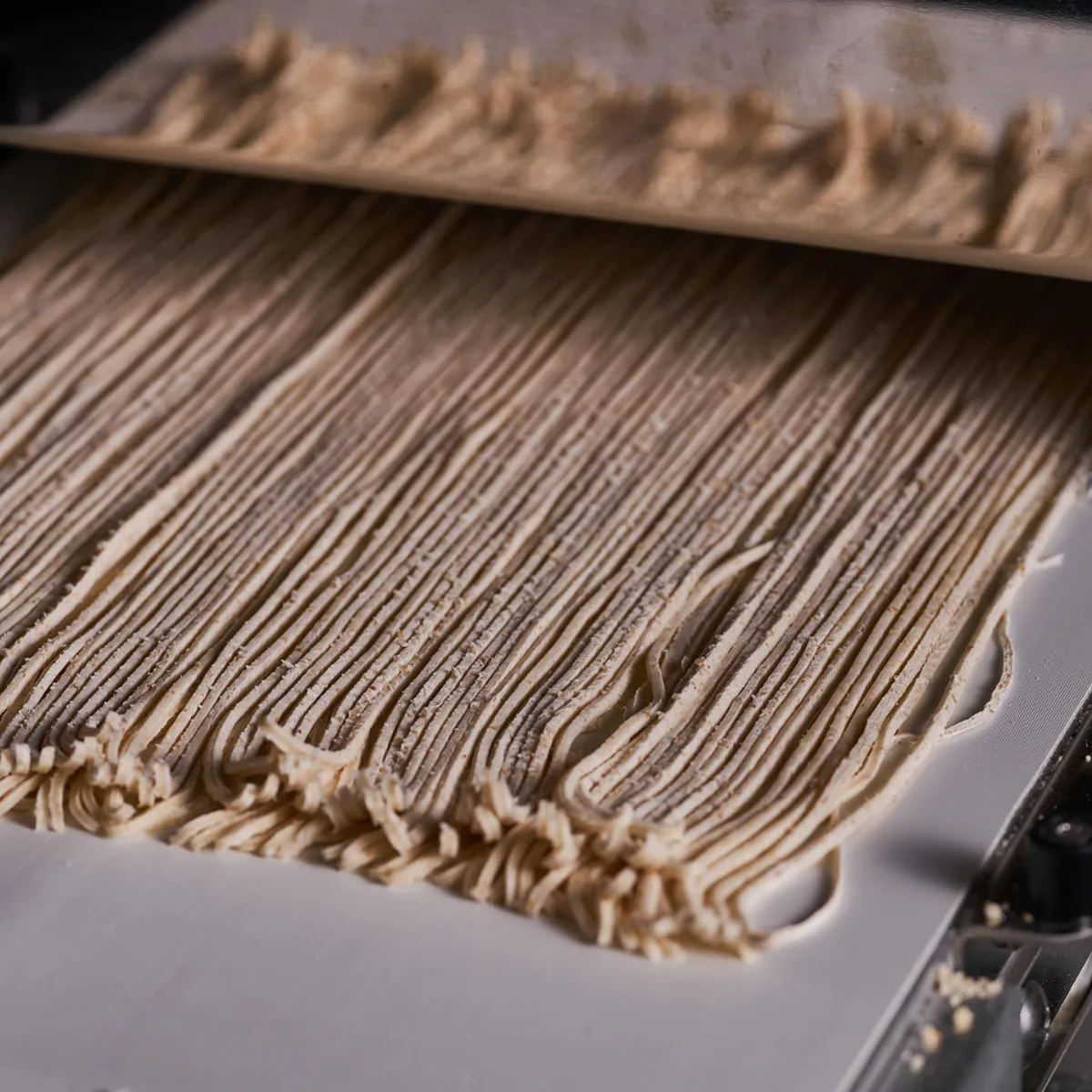 ミョンソウル — 製麺機から伸びる生麺