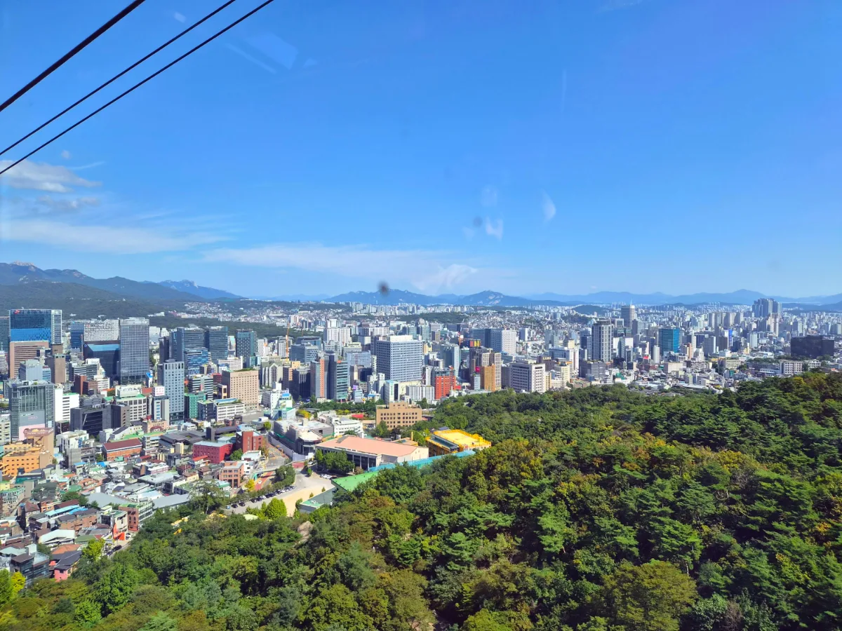 森林越しに広がるソウル市街
