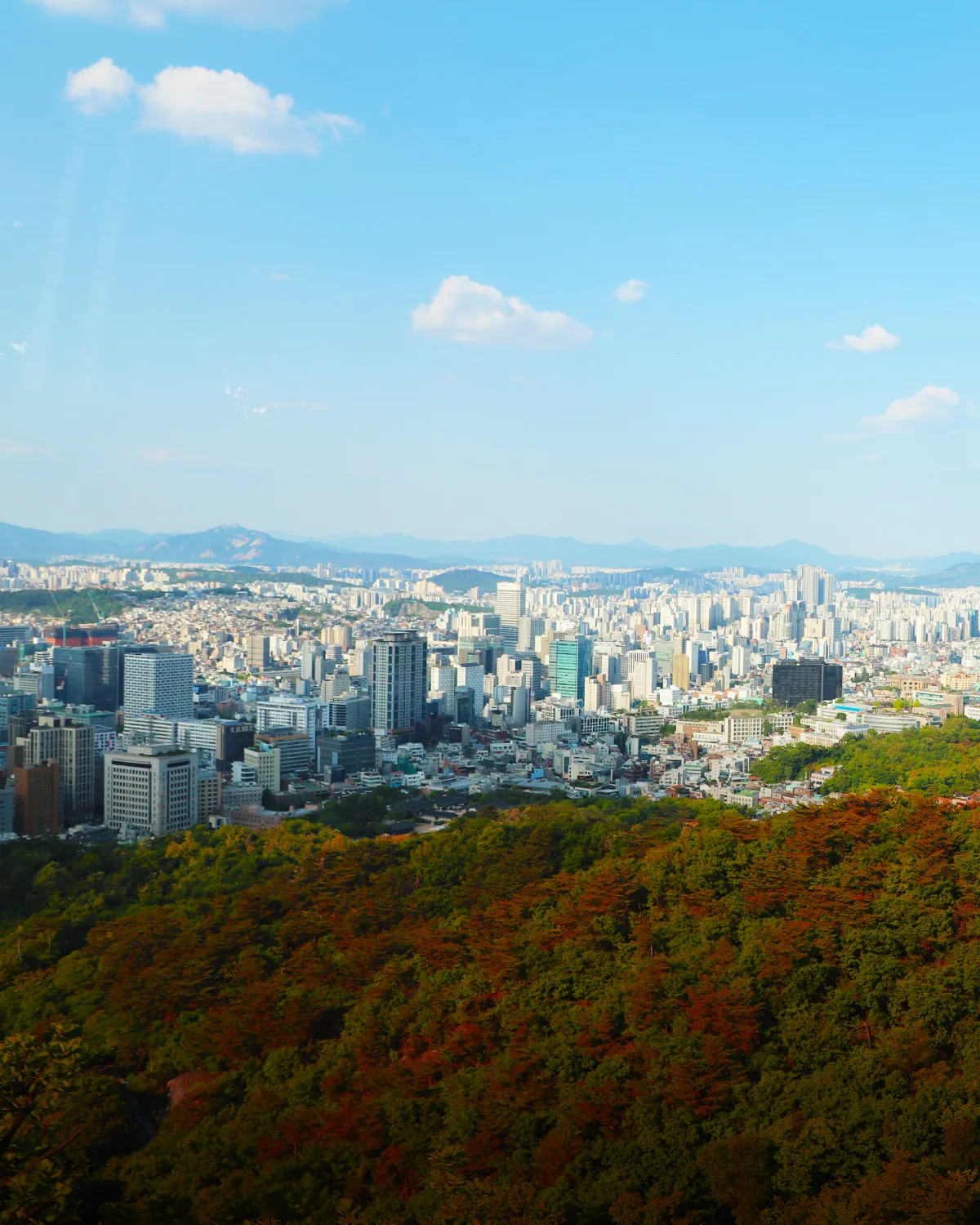 南山ケーブルカー — 紅葉越しに広がる市街地