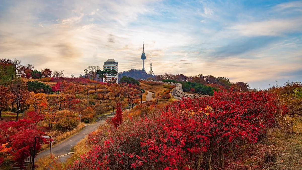 南山公園 白凡広場 — 紅葉と夕焼け空の向こうのNソウルタワー