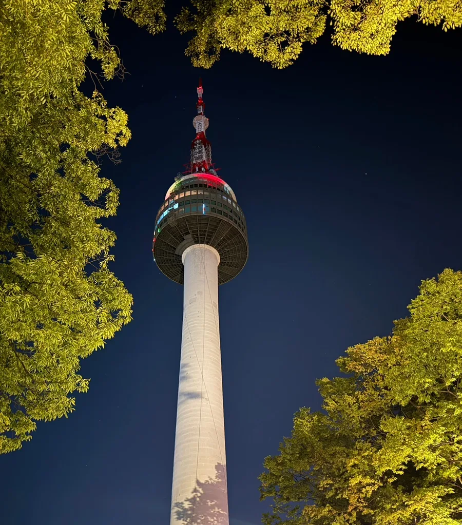 夜空と木々に囲まれた塔