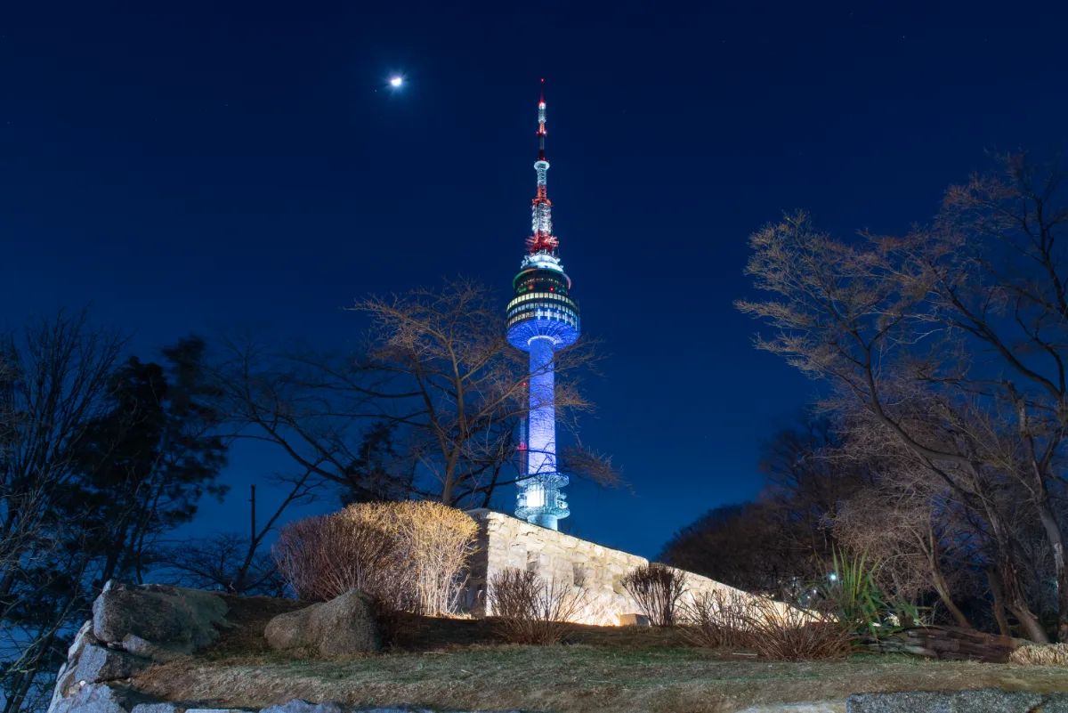 石垣と木々に囲まれた夜の塔