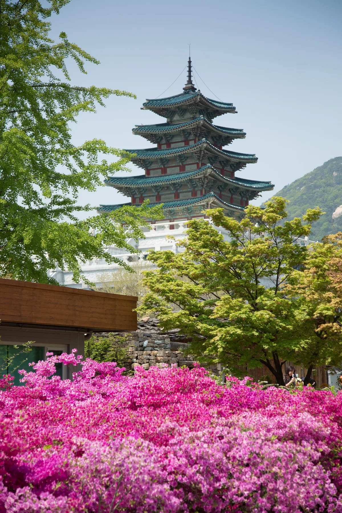 国立民俗博物館