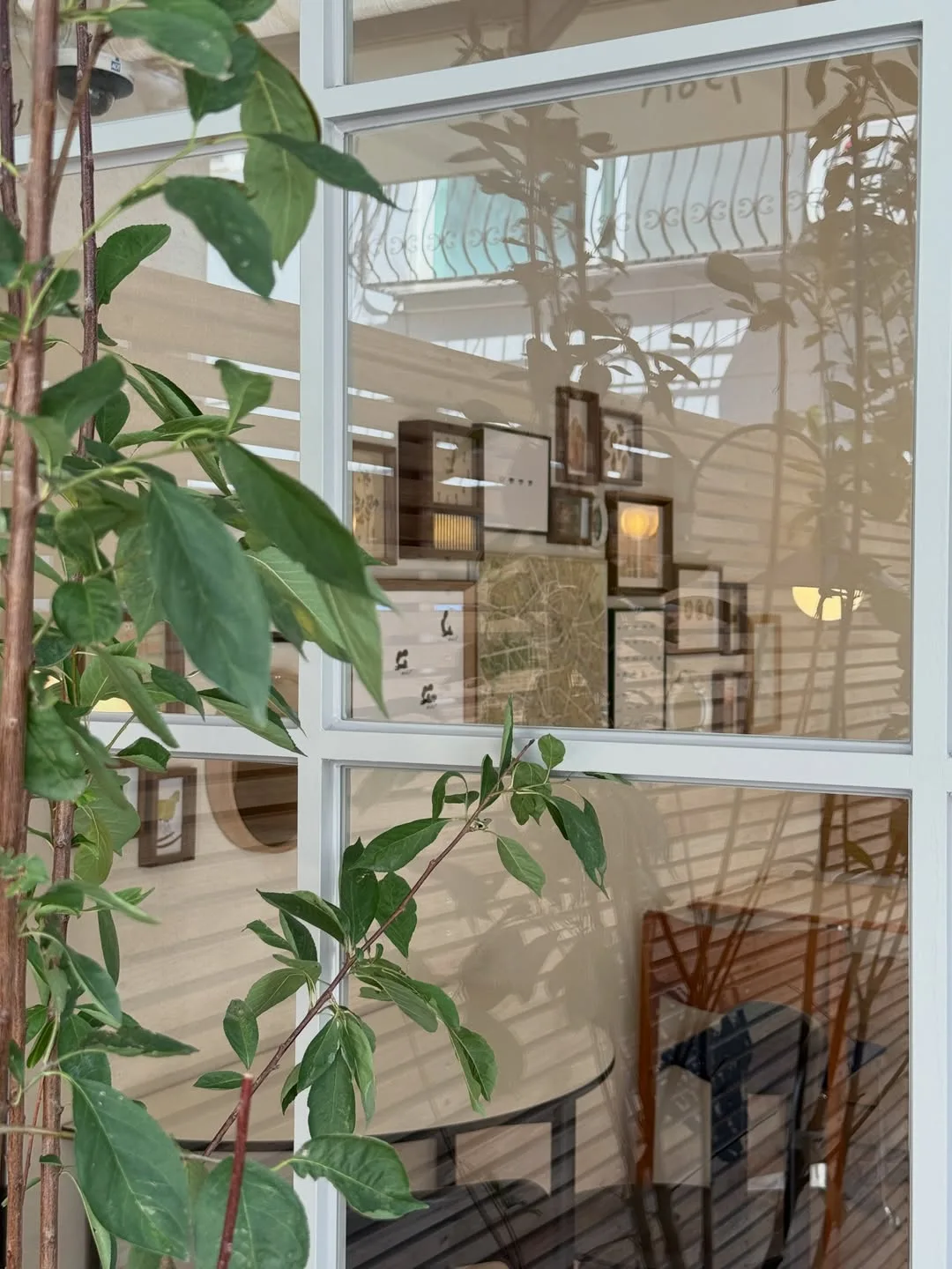 cafe noci 聖水店 — 木の葉越しに見える窓辺の店内