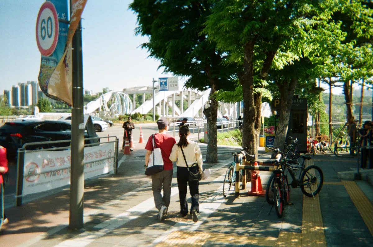 橋へ向かう木陰の歩道
